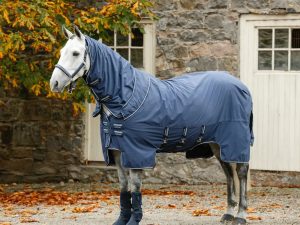 Horseware Show Ready Rug