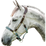 Horseware Leather Braided Headcollar
