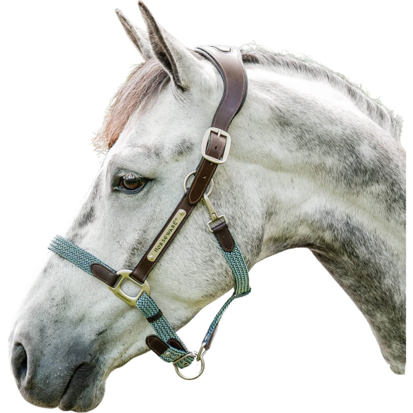 Horseware Leather Braided Headcollar