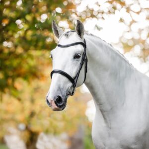 Horseware  Cavesson Snaffle Bridle