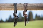 Kieffer Gladiator Stirrup Leathers