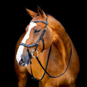 Micklem2 Diamante Competition Bridle
