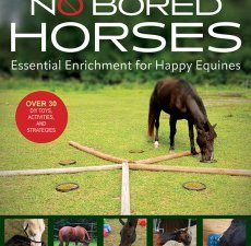 No Bored Horses