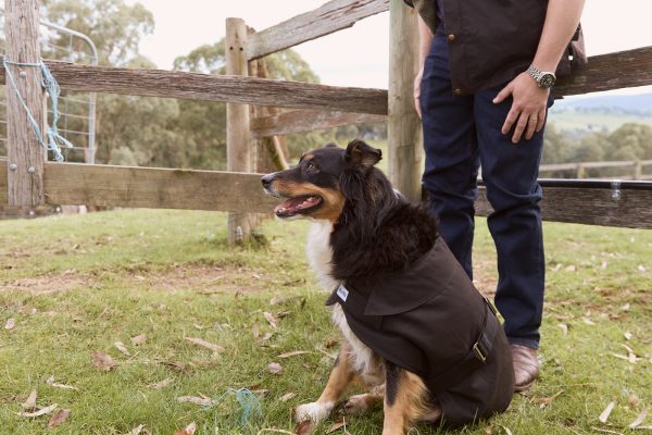 Nullabor Oilskin Dog Coat