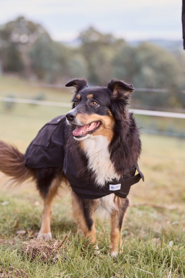 Nullabor Oilskin Fur Dog Coat