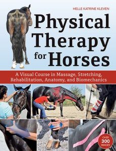 Physical-Therapy-for-Horses