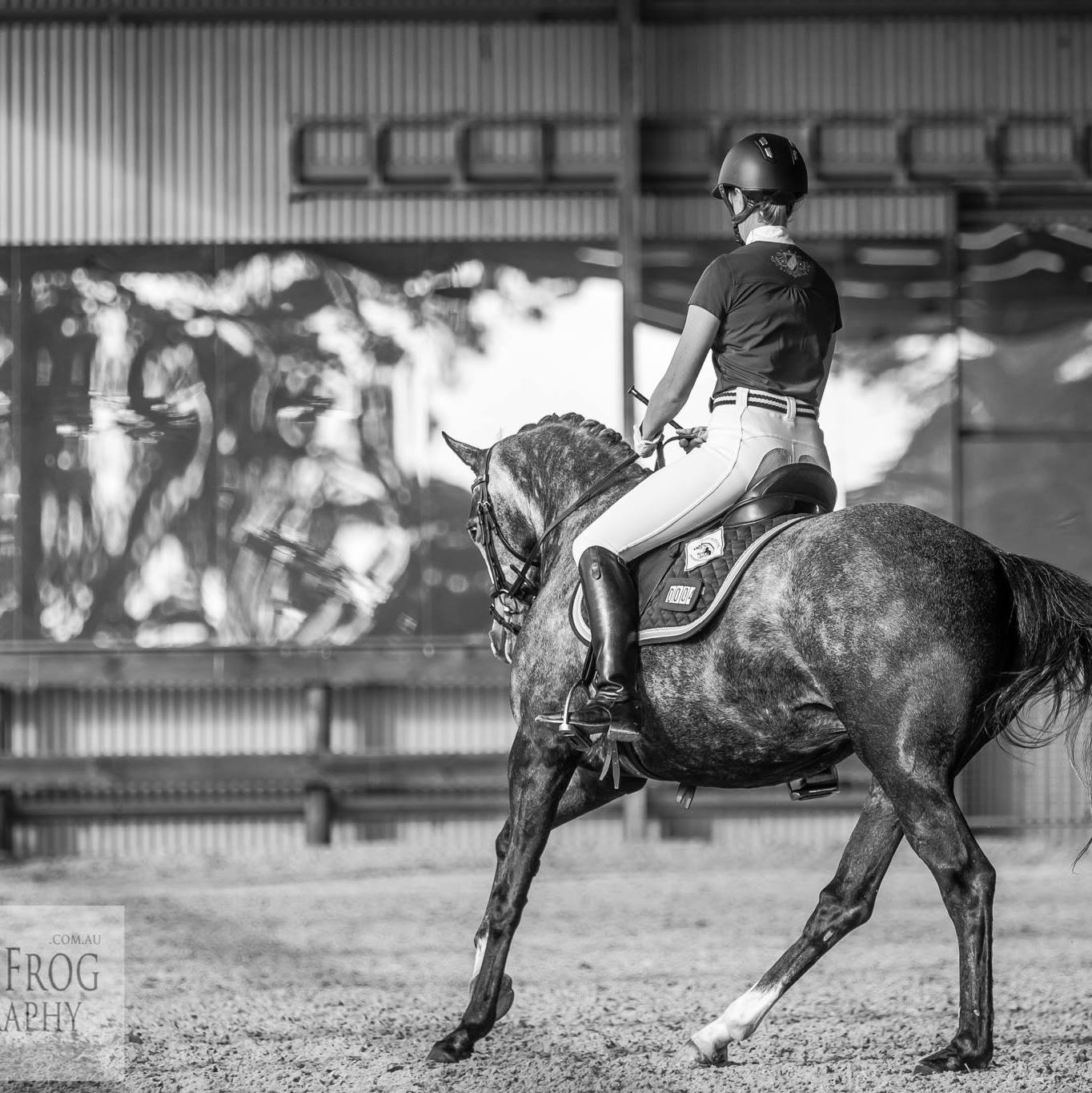 Sponsored Riders The Dancing Horse