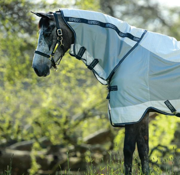 Rambo Airflow Rug