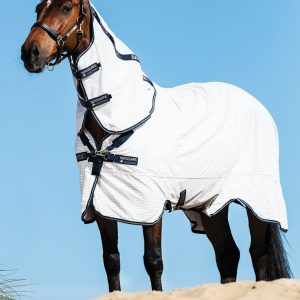 Rambo-Allrounder-Cotton-Rug