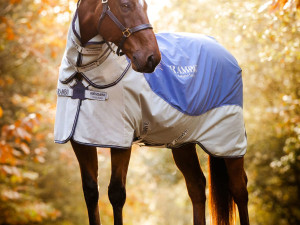 Rambo Autumn Series Rug