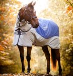 Rambo Autumn Series Rug
