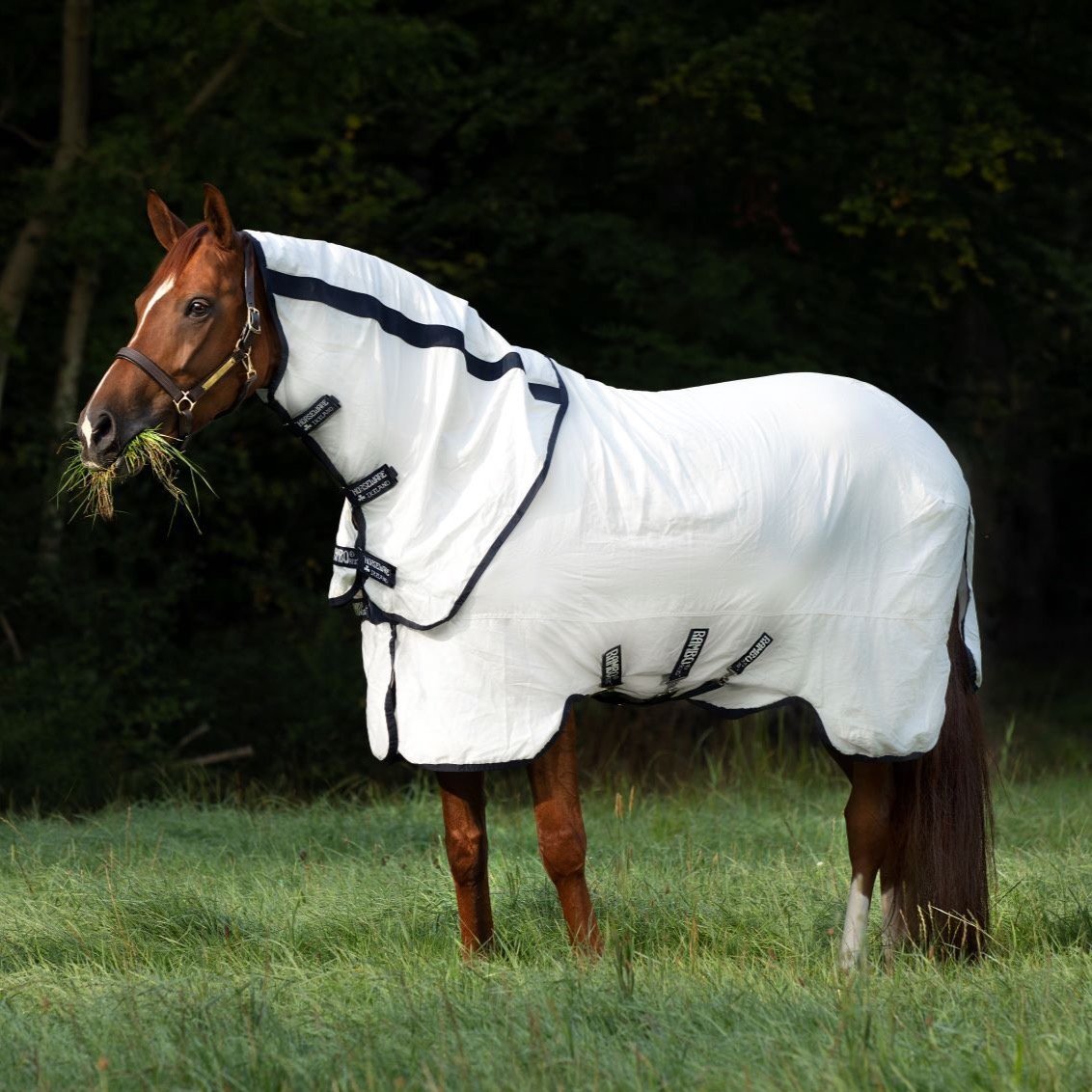 Rambo Allrounder Cotton Rug The Dancing Horse