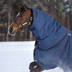 Rambo Optimo Neck Rug No Fill