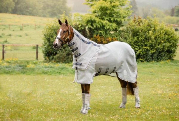 Rambo Protector Fly Rug