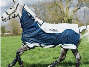 Rambo Summer Series Rug