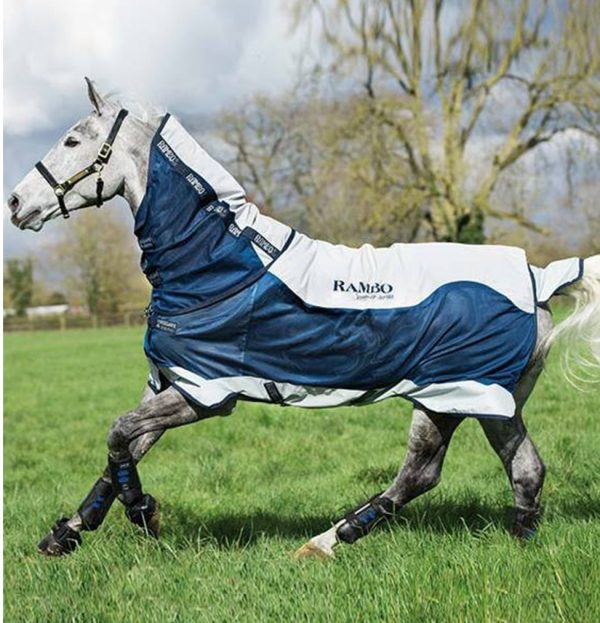 Rambo Summer Series Rug