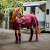 Rambo Travel Series Rug - Image 3