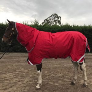 Rambo-Wallaby-Duo-Rug-Red