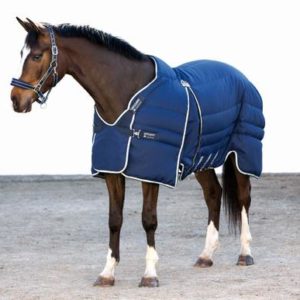 Rambo_OptimoStable_Rug_Medium