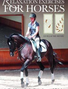 Relaxation Exercises for Horses - Henry