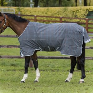 Rhino Plus Lite Rug