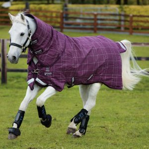 Rhino-Pony-Plus-Rug-Medium