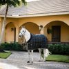 Rhino Stable Rug - Image 2
