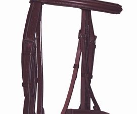 Southern Stars Double Bridle