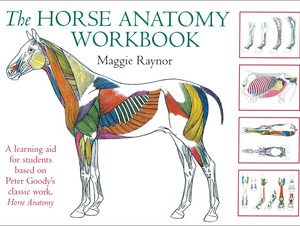 The-Horse-Anatomy-Workbook-Maggie-Raynor
