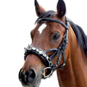 Waldhausen-Leather-Cavesson