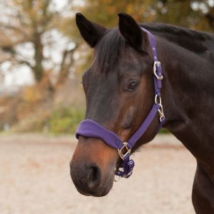 Waldhausen-Premium-Halter=Purple