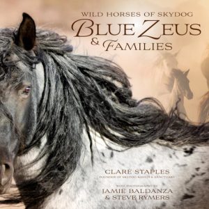 Wild Horses of Skydog Blue Zeus