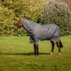 Amigo Bravo 12 Plus Rug Medium - Image 3