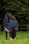 Amigo Bravo 12 Plus Rug Medium