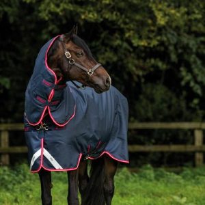 Amigo Bravo 12 Plus Rug Medium