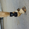 ArcEquine Microcurrent Device - Image 3