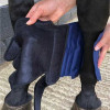 Cryochaps Compression Ice Boots - Image 3