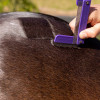 Hairy Pony QTR Comb - Image 3