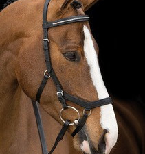 Micklem Diamante Competition Bridle