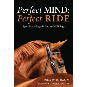Perfect Mind Perfect Ride