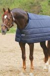 Horseware Liner 100g