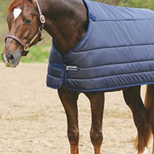 Horseware Liner 200g