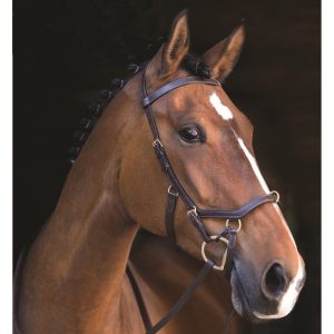 Rambo Micklem Multibridle
